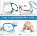 Bowl antisplash para mascotas, vista del producto